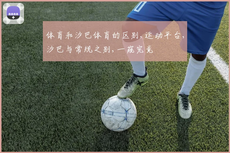 体育和沙巴体育的区别,运动平台,沙巴与常规之别,一窥究竟