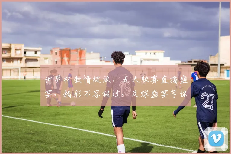 世界杯激情绽放，五大联赛直播盛宴，精彩不容错过，足球盛宴等你来