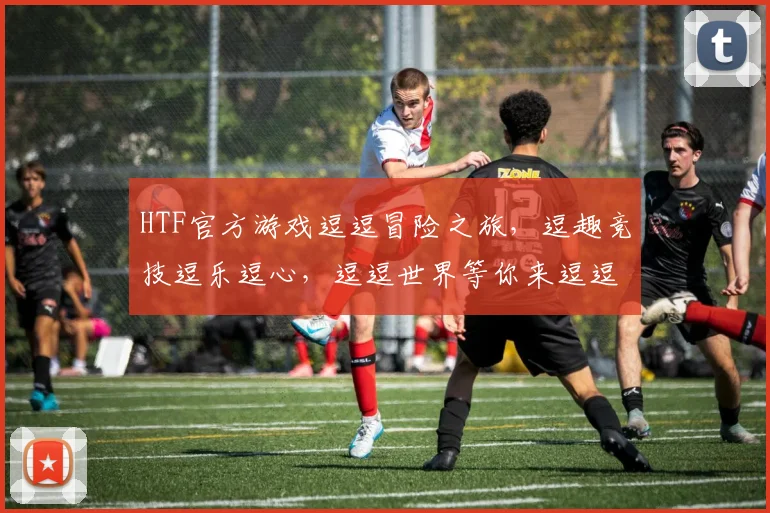 HTF官方游戏逗逗冒险之旅，逗趣竞技逗乐逗心，逗逗世界等你来逗逗