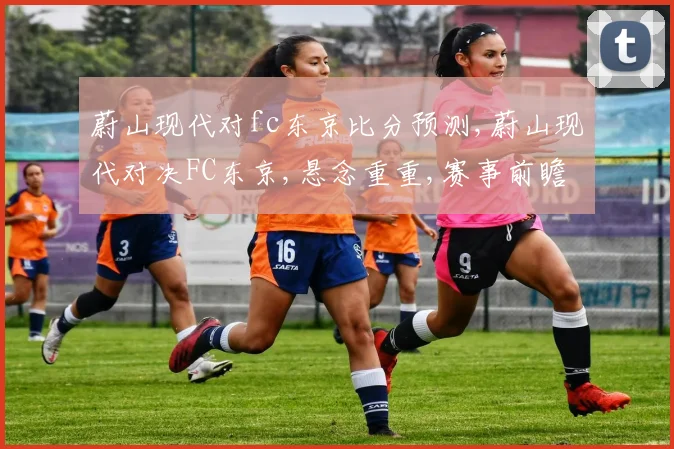 蔚山现代对fc东京比分预测,蔚山现代对决FC东京,悬念重重,赛事前瞻一触即发,敬请期待
