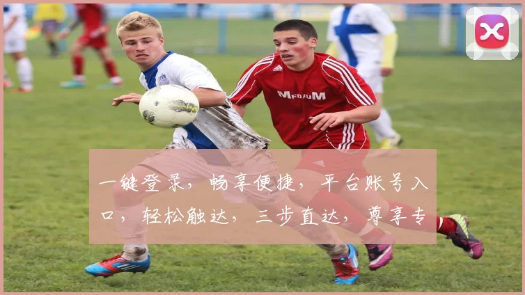 一键登录，畅享便捷，平台账号入口，轻松触达，三步直达，尊享专属服务，体验非凡之旅